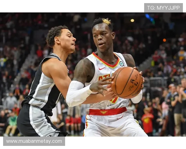 以SOPNBA为核心，探索新兴体育管理模式对篮球行业的深远影响及未来发展趋势