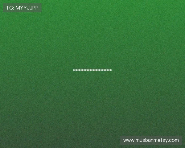 佩雷拉：从足球场上的明星到执教生涯的多重转型与挑战