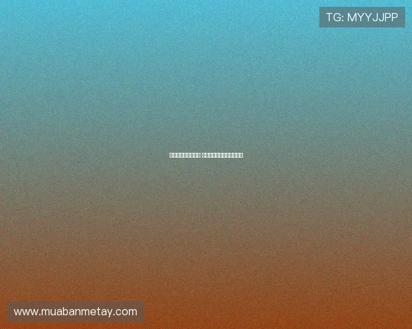 全运会女排激战正酣 聚焦赛场背后的拼搏与荣耀 全运会女排激战正酣 聚焦赛场背后的拼搏与荣耀