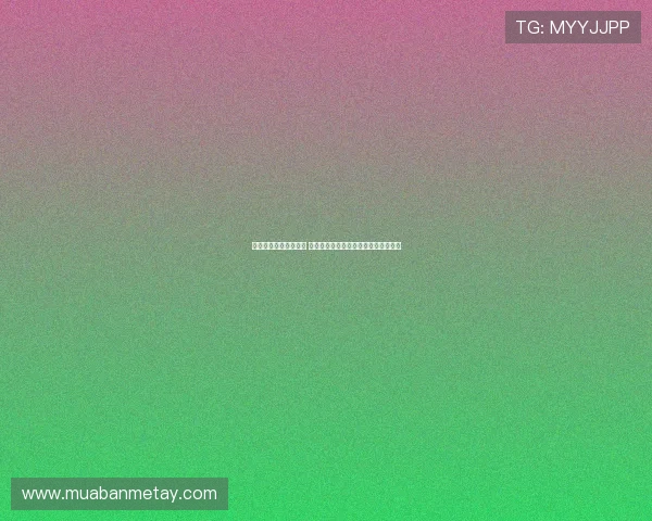 半程马拉松训练全攻略 提升耐力与速度的科学方法与实战技巧 半程马拉松训练全攻略 提升耐力与速度的科学方法与实战技巧