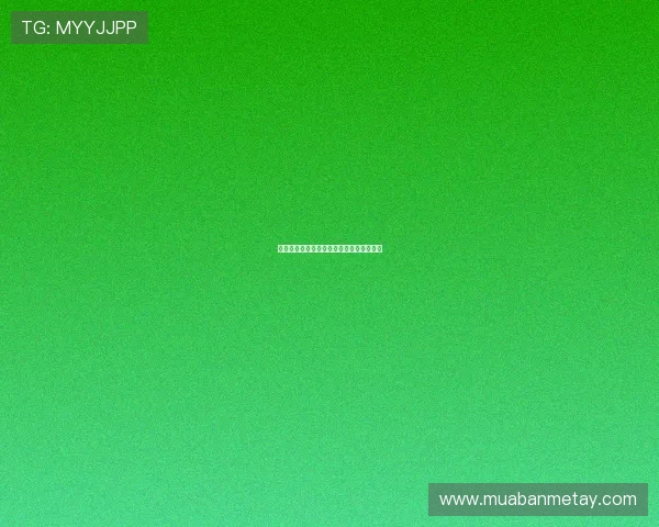 墨西哥美洲文化交融与历史遗产的多元探索