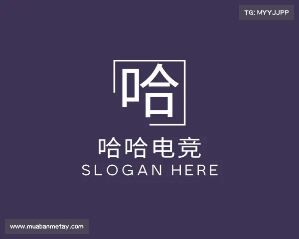 介绍哈哈电竞